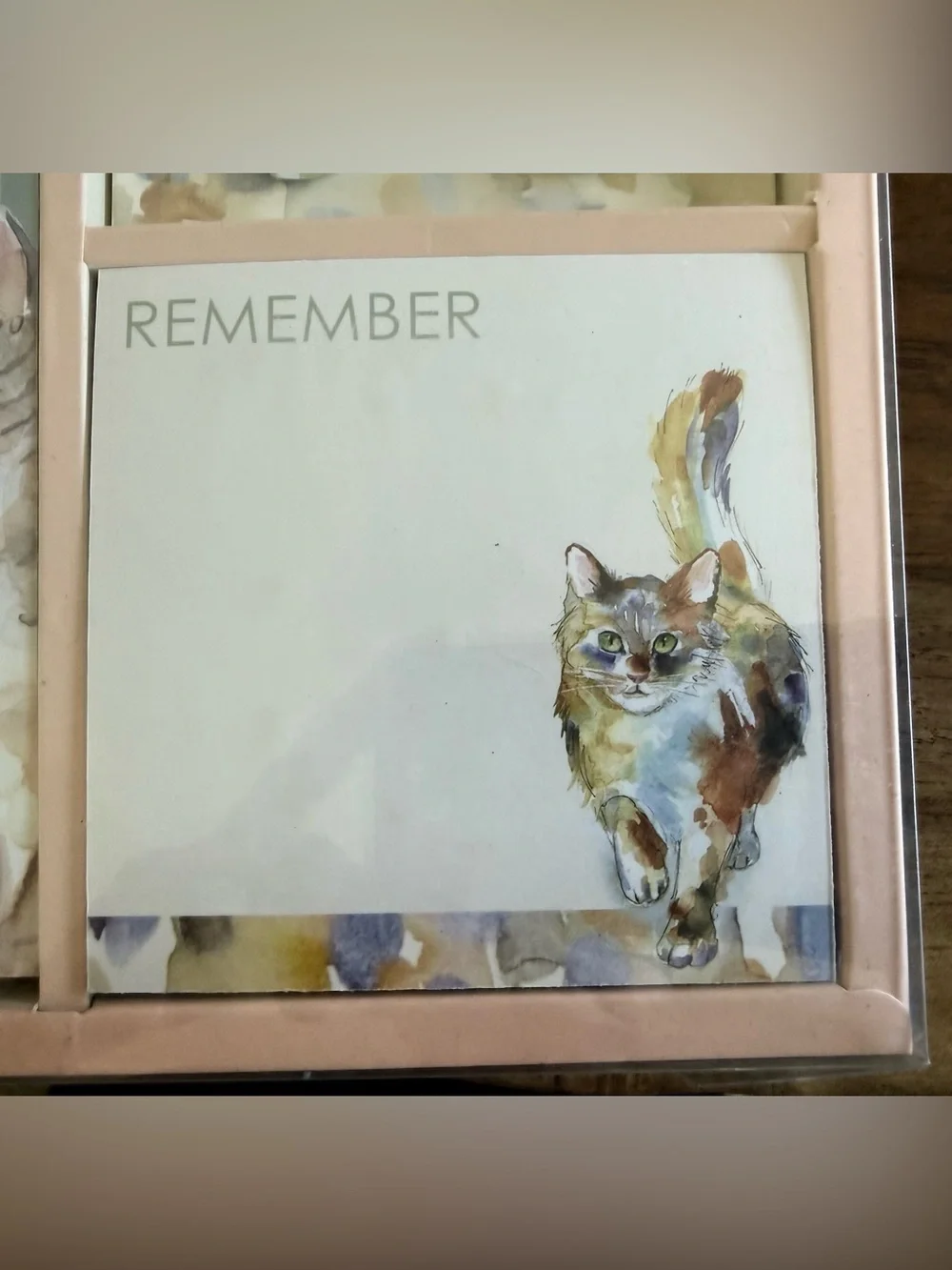 Cat Themed Notepad and Magnet Set